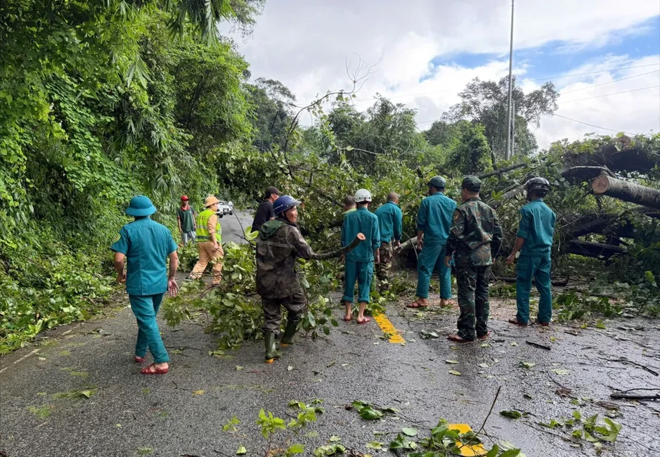 Cây cổ thụ bật gốc, chắn ngang đèo Bảo Lộc Cây cổ thụ bật gốc, chắn ngang đèo Bảo Lộc