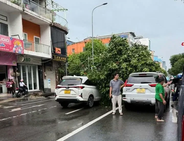 Cây xanh bật gốc do mưa dông, đè trúng 2 ô tô ở TPHCM Cây xanh bật gốc do mưa dông, đè trúng 2 ô tô ở TPHCM