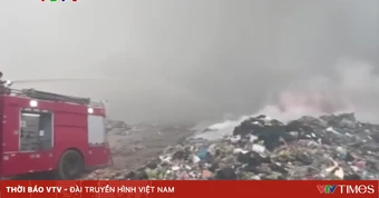 Cháy bãi rác, lửa lan vào rừng thông