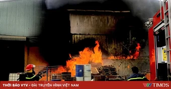 Cháy bồn hút bụi xưởng gỗ ở TP Hồ Chí Minh kèm tiếng nổ