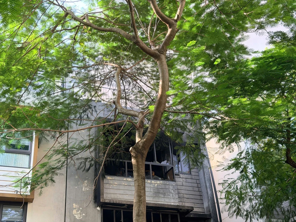 Cháy nhà liền kề tại khu đô thị Phùng Khoang, khói đen cuồn cuộn Cháy nhà liền kề tại khu đô thị Phùng Khoang, khói đen cuồn cuộn