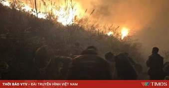 Cháy rừng ở Tuần Châu (Quảng Ninh)