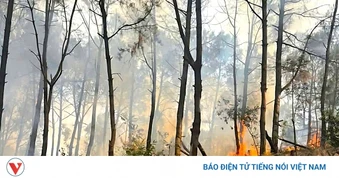 Cháy rừng sản xuất tại Nghệ An, hơn 1ha cây keo bị thiêu rụi