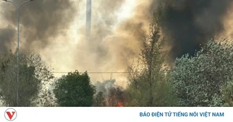 Cháy rừng ven biển Quảng Trị, ngọn lửa bùng phát dữ dội, lan rộng