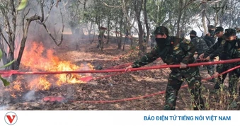 Cháy rừng xảy ra nhiều nơi tại Quảng Trị