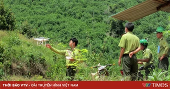 Chế độ phụ cấp đối với người làm công tác quản lý, bảo vệ rừng