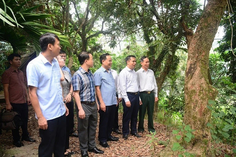 Chiến sĩ Điện Biên tiên phong bàn giao mặt bằng dự án trọng điểm