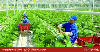 Chính sách về khuyến nông