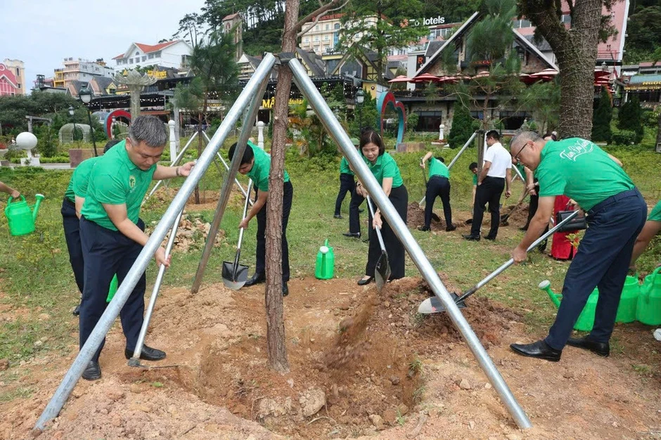 Chỉnh trang, nâng cao chất lượng Khu du lịch quốc gia Tam Đảo Chỉnh trang, nâng cao chất lượng Khu du lịch quốc gia Tam Đảo