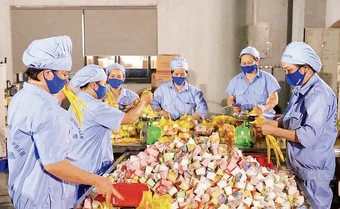 Chủ động các giải pháp ổn định nguồn nhân lực
