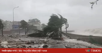 Chủ động cấm biển, neo đậu tàu thuyền an toàn trước bão số 1