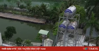 Chủ động điều chỉnh giờ sản xuất để tối ưu hóa chi phí năng lượng