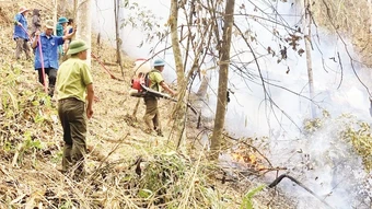 Chủ động phòng, chống cháy rừng