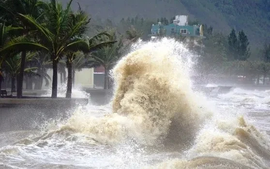 Chủ động ứng phó áp thấp nhiệt đới, bảo đảm an toàn tàu thuyền trên biển Chủ động ứng phó áp thấp nhiệt đới, bảo đảm an toàn tàu thuyền trên biển