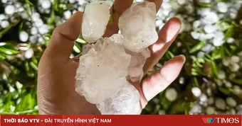 Chủ động ứng phó mưa lớn, lốc, sét, mưa đá và gió mạnh trên biển