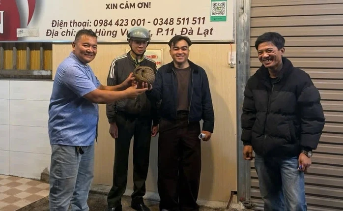 Chủ quán ăn ở Đà Lạt bất ngờ phát hiện 1 con vật quý hiếm bò vào quán Chủ quán ăn ở Đà Lạt bất ngờ phát hiện 1 con vật quý hiếm bò vào quán