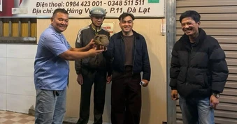 Chủ quán ăn ở Đà Lạt bất ngờ phát hiện 1 con vật quý hiếm bò vào quán