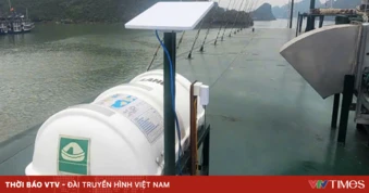 Chủ tàu du lịch ở Cát Bà bị phạt 70 triệu vì sử dụng thiết bị Starlink trái phép
