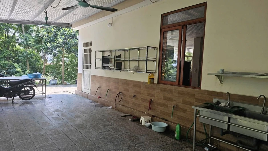 Chủ tịch tỉnh Phú Thọ chỉ đạo xác minh vụ người mặc áo nâu đánh trẻ em ở chùa Bầu