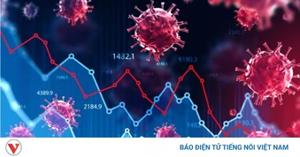 Chưa ghi nhận sự gia tăng bất thường của COVID-19 tại Việt Nam