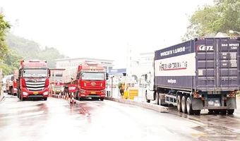 Chuẩn bị sẵn sàng triển khai Nghị định 46