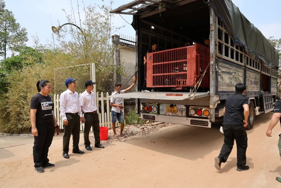 Chùm ảnh cứu hộ 4 con gấu từ TP.HCM đưa về Bạch Mã Chùm ảnh cứu hộ 4 con gấu từ TP.HCM đưa về Bạch Mã