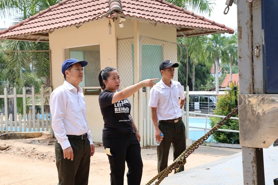 Chùm ảnh cứu hộ 4 con gấu từ TP.HCM đưa về Bạch Mã Chùm ảnh cứu hộ 4 con gấu từ TP.HCM đưa về Bạch Mã