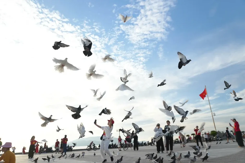 Chung tay gìn giữ hình ảnh Nha Trang trong mùa Festival Biển Chung tay gìn giữ hình ảnh Nha Trang trong mùa Festival Biển