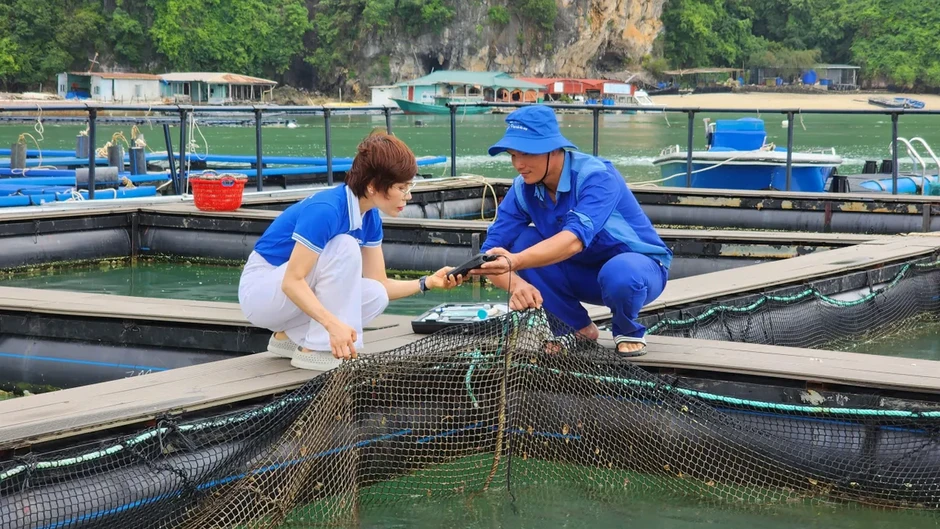 Chuỗi sự kiện môi trường quốc gia 2026 sẽ diễn ra tại Nghệ An Chuỗi sự kiện môi trường quốc gia 2026 sẽ diễn ra tại Nghệ An