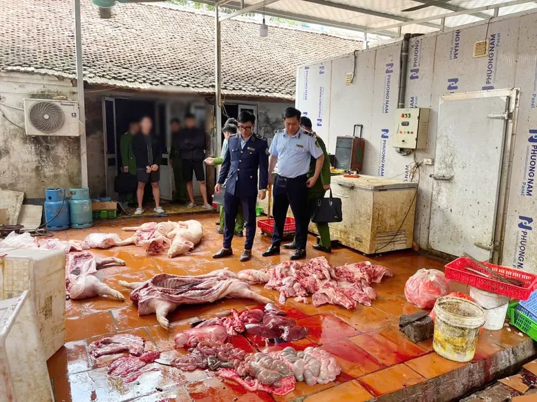 Chuyển cơ quan điều tra vụ gần 1 tấn thịt lợn nghi nhiễm dịch tả lợn châu Phi ở Hưng Yên Chuyển cơ quan điều tra vụ gần 1 tấn thịt lợn nghi nhiễm dịch tả lợn châu Phi ở Hưng Yên