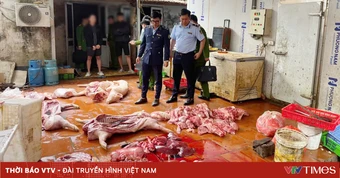 Chuyển cơ quan điều tra vụ gần 1 tấn thịt lợn nghi nhiễm dịch tả lợn châu Phi ở Hưng Yên
