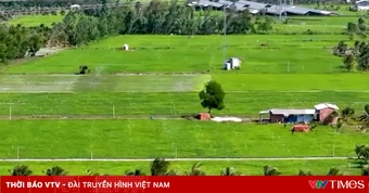 Chuyển đổi cây trồng thích ứng biến đổi khí hậu