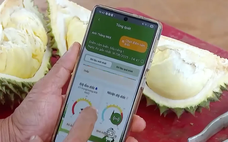 Chuyển đổi số nông nghiệp giúp giảm chi phí đầu vào Chuyển đổi số nông nghiệp giúp giảm chi phí đầu vào