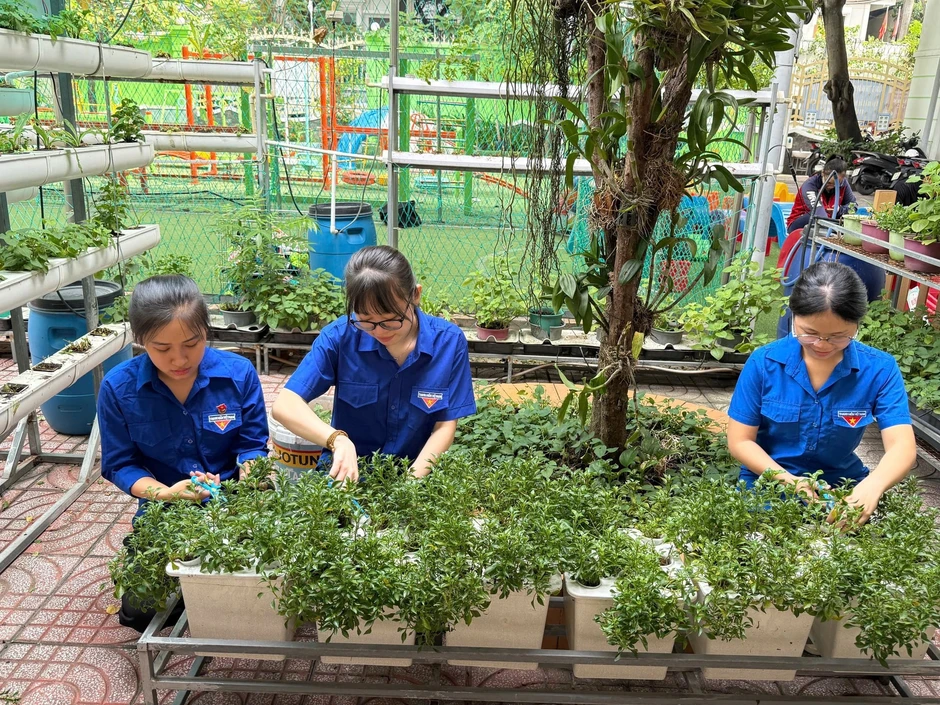 Chuyển động tích cực từ mô hình chính quyền 2 cấp của phường trung tâm Thành phố Hồ Chí Minh Chuyển động tích cực từ mô hình chính quyền 2 cấp của phường trung tâm Thành phố Hồ Chí Minh