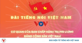 Cơ cấu tổ chức của Đài Tiếng nói Việt Nam (TinVina) từ ngày 1/4/2026