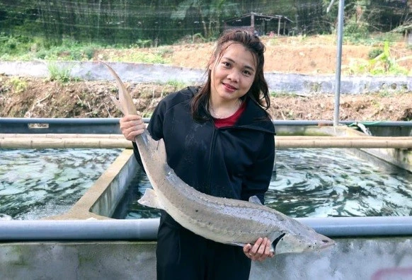 Cô gái Mường nuôi cá tầm ở Thanh Hóa trúng cử đại biểu HĐND tỉnh Cô gái Mường nuôi cá tầm ở Thanh Hóa trúng cử đại biểu HĐND tỉnh