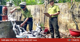 Cơn sốt săn lùng “muội hồng”: Thú chơi tiềm ẩn hệ lụy pháp lý