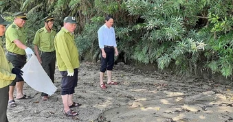 Con vật quý nặng 5 kg "đi lạc" vào khu dân cư, nhiều người lần đầu nhìn thấy