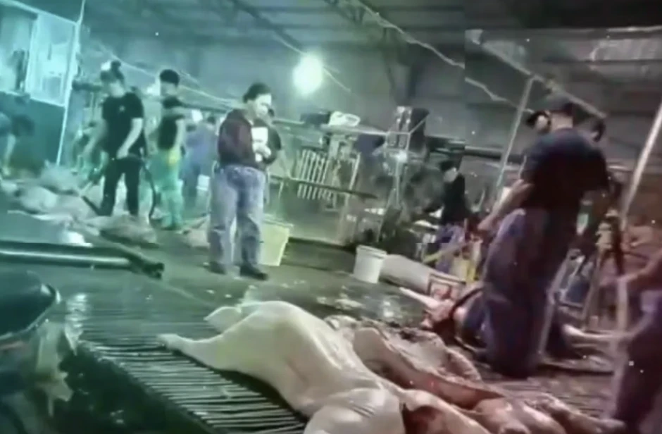 Công an Hà Nội thông tin vụ cán bộ kiểm dịch thú y "vòi tiền" tiếp tay đưa heo bệnh vào trường học Công an Hà Nội thông tin vụ cán bộ kiểm dịch thú y "vòi tiền" tiếp tay đưa heo bệnh vào trường học