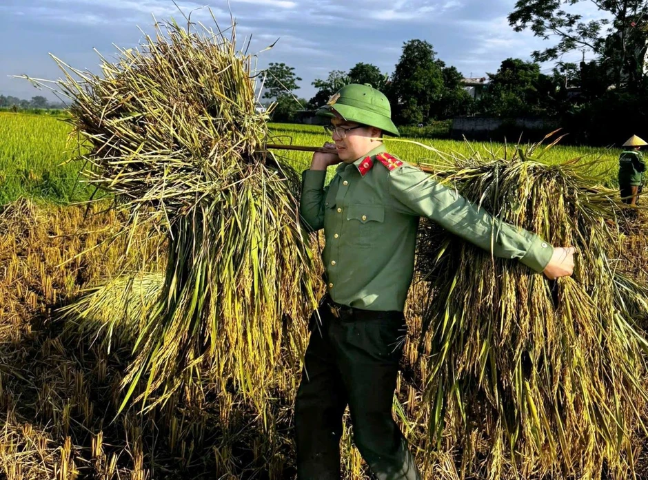 Công an xã xuống đồng giúp dân thu hoạch lúa tại Thanh Hóa