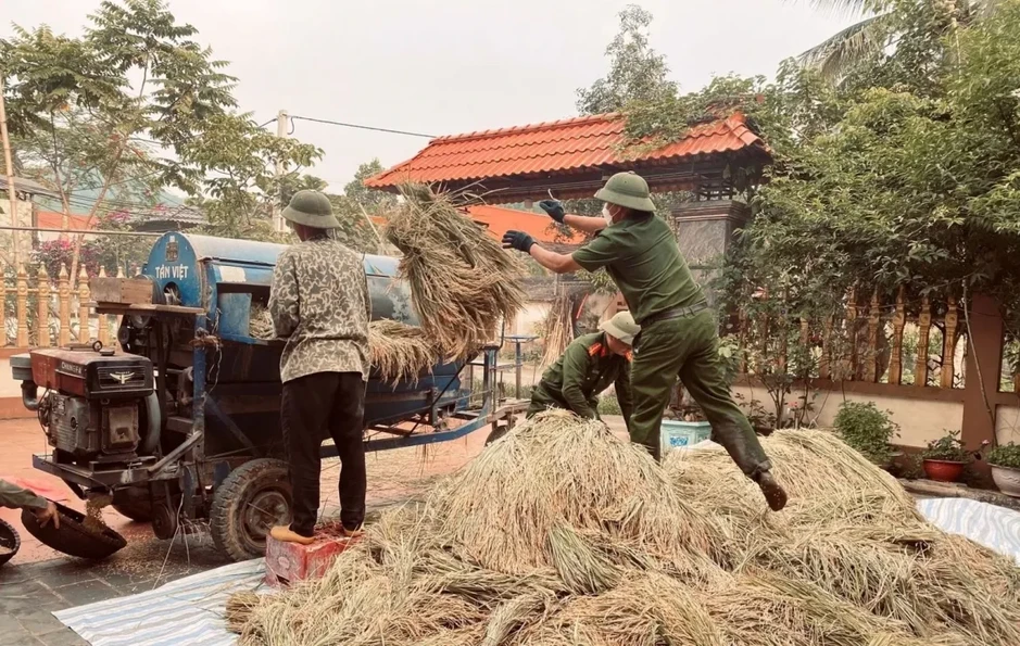Công an xã xuống đồng giúp dân thu hoạch lúa tại Thanh Hóa