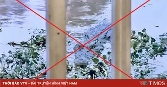 Công an xác định hình ảnh cá sấu ở An Giang là sản phẩm AI