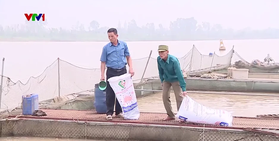 Công tác người cao tuổi cần tư duy mới và tầm nhìn dài hạn Công tác người cao tuổi cần tư duy mới và tầm nhìn dài hạn