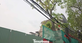 Công trình gây 'bão bụi' tại phường Hai Bà Trưng: Phá dỡ khi chưa có giấy phép