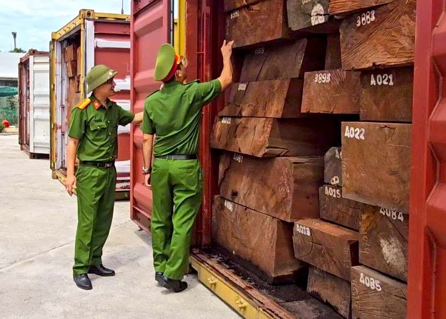 Cú đột kích lịch sử: Bắt giữ hơn 1,1 tấn ngà voi giấu tinh vi trong container chở gỗ Cú đột kích lịch sử: Bắt giữ hơn 1,1 tấn ngà voi giấu tinh vi trong container chở gỗ