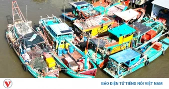 Cửa biển Khánh Hội bồi lắng: Ngư dân “mua đường” ra biển