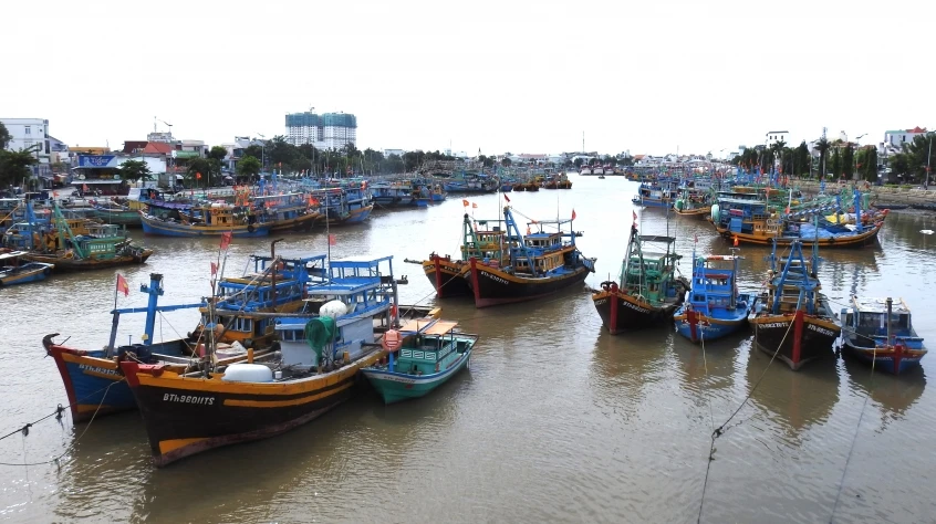 Cửa biển ở Lâm Đồng bị bồi lắng nghiêm trọng Cửa biển ở Lâm Đồng bị bồi lắng nghiêm trọng