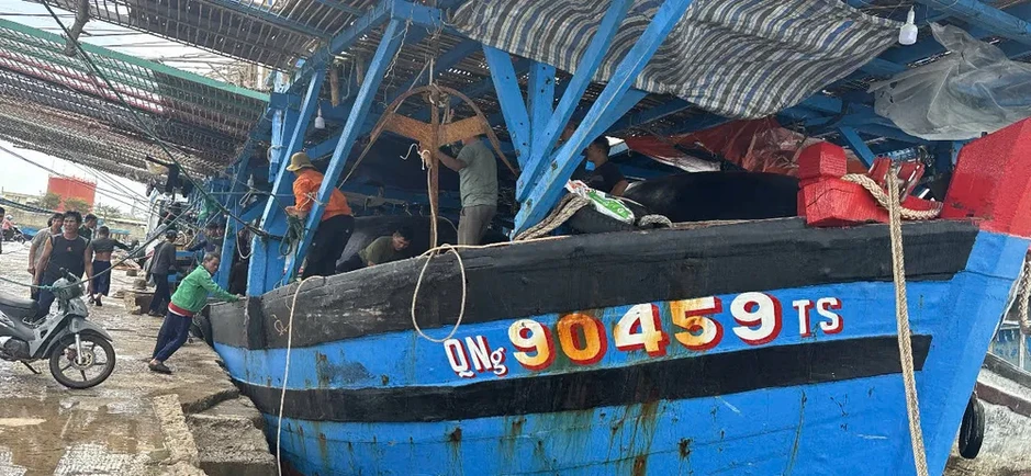 Cứu hộ tàu cá cùng 36 ngư dân Quảng Ngãi về đất liền an toàn Cứu hộ tàu cá cùng 36 ngư dân Quảng Ngãi về đất liền an toàn