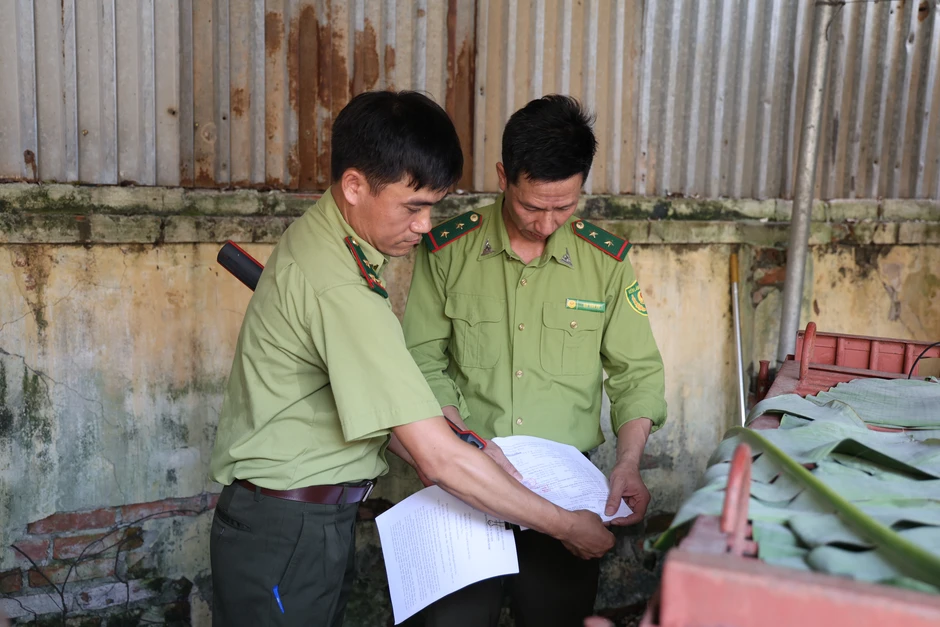 Cứu hộ thành công 2 cá thể gấu ngựa tại Hà Nội Cứu hộ thành công 2 cá thể gấu ngựa tại Hà Nội