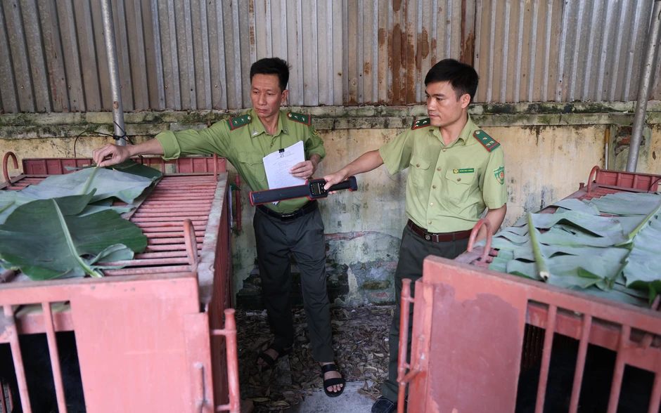 Cứu hộ thành công 2 cá thể gấu ngựa tại Hà Nội Cứu hộ thành công 2 cá thể gấu ngựa tại Hà Nội